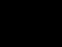 Nomad Logo Nomad